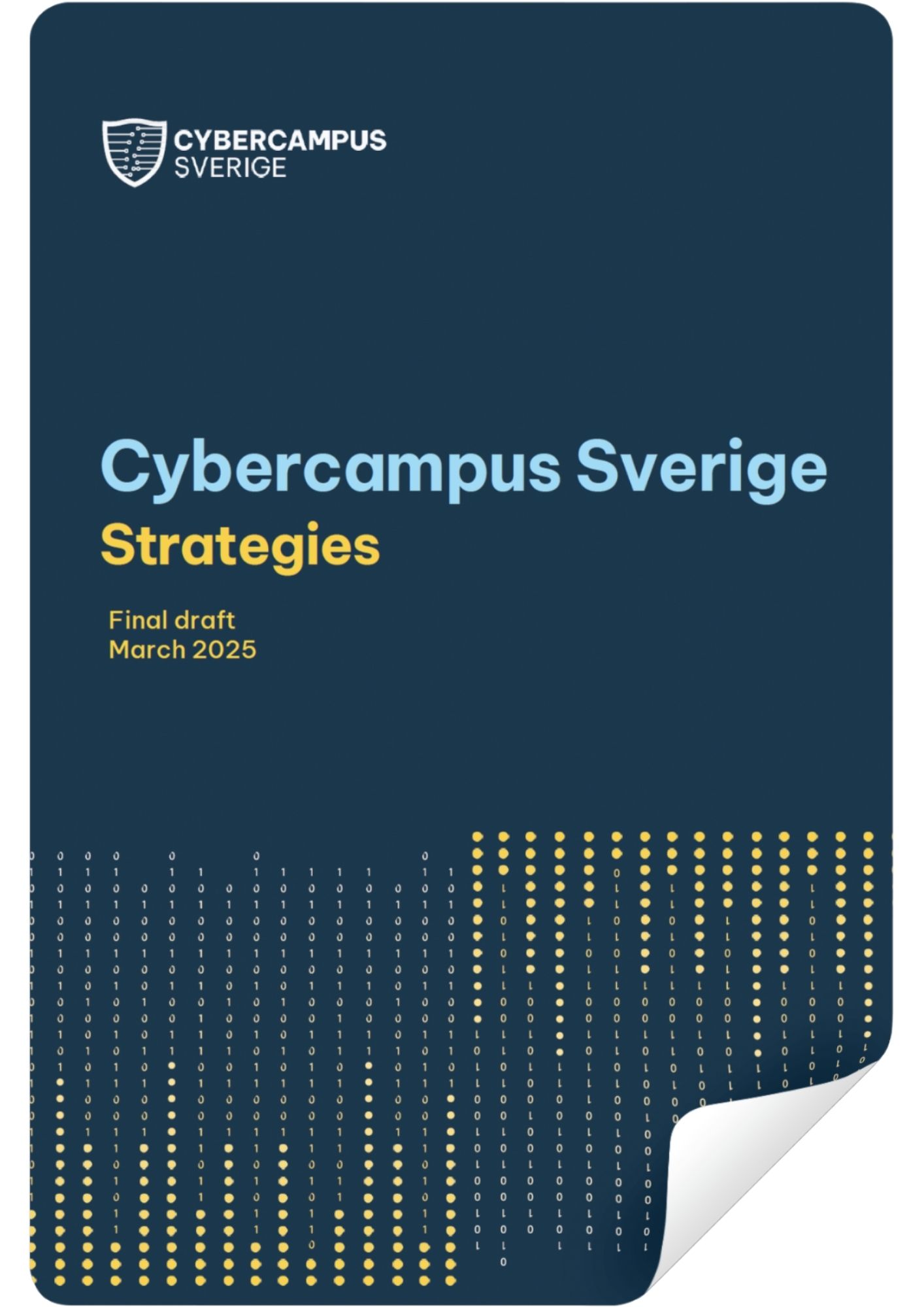 Cybercampus strategies