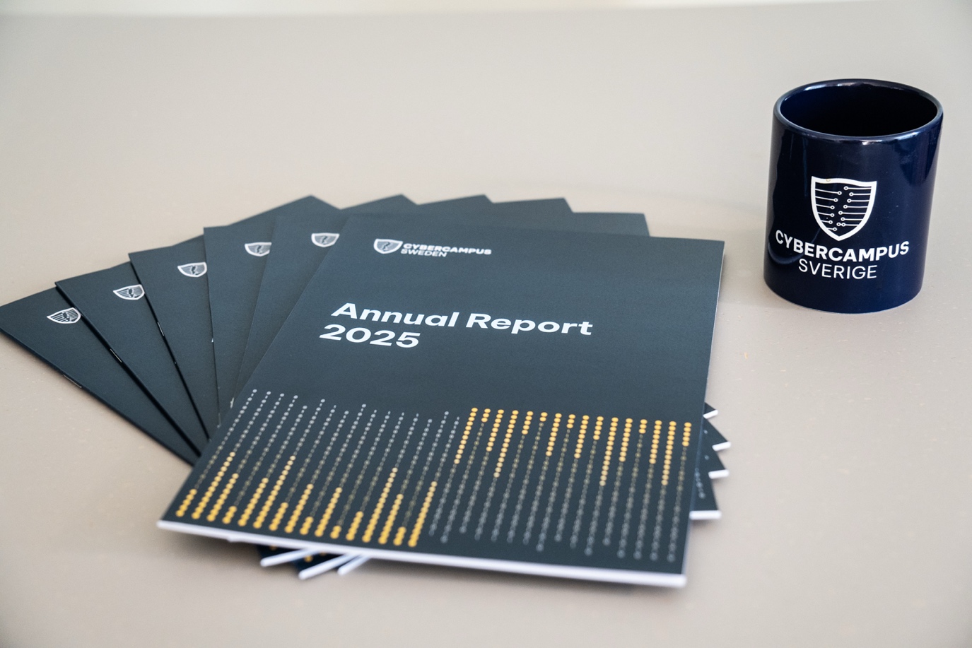 The annual report 2025 